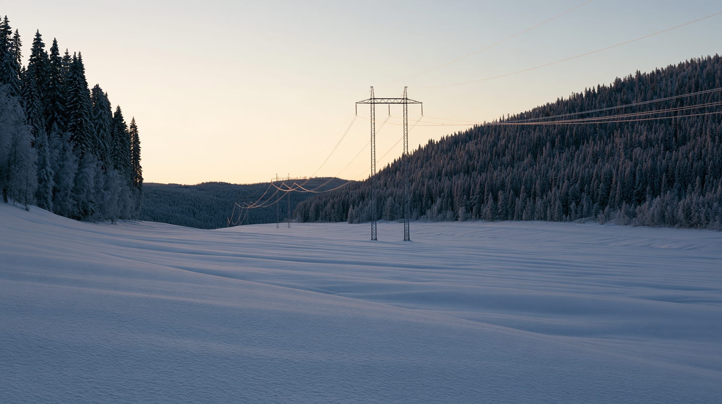 Power lines crossing a snow field between spruce forests at dusk